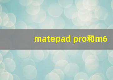 matepad pro和m6